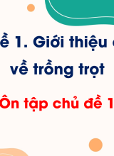 CN Trồng trọt - Ôn tập chủ đề 1. Giới thiệu chung về trồng trọt